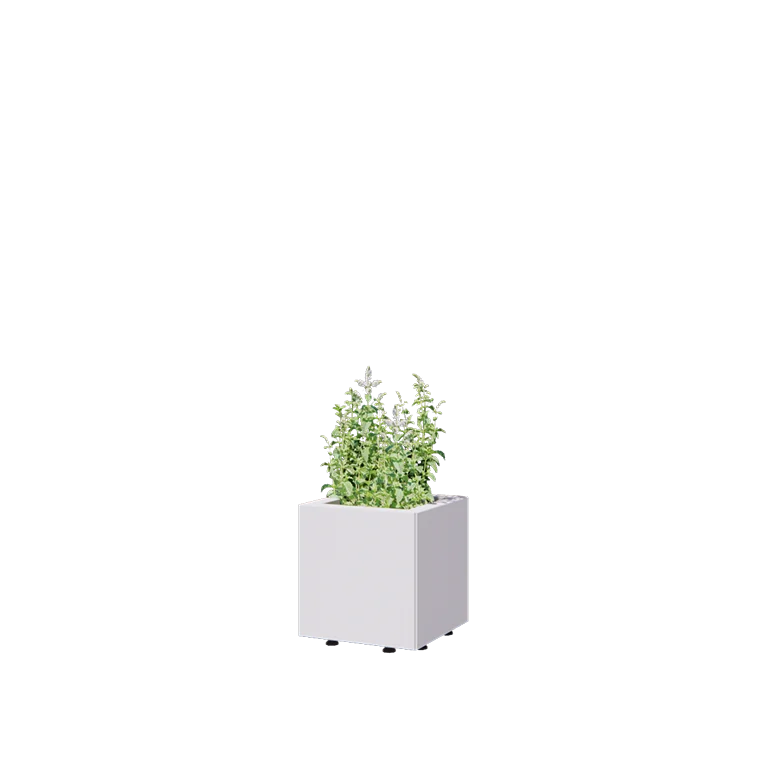 Саксии за цветя от стомана - Квадрат - 30 x 30 x 30 cm - RAL9010 матов (бял) - Със основа - Със крака